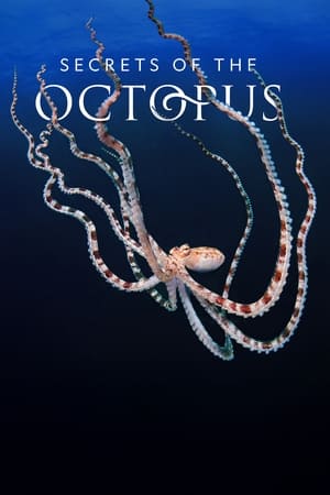 Secrets of the Octopus Season 1